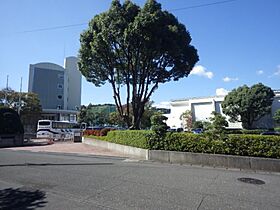 静岡県静岡市葵区瀬名6丁目（賃貸アパート2LDK・2階・50.40㎡） その20