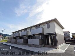 ディンプル