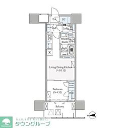 グランシテイタワー月島 1LDKの間取図画像