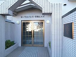 4 / 4