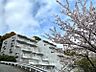 その他：春になるとマンション周辺には桜景色が広がります。ご内見是非ともお待ちしております。