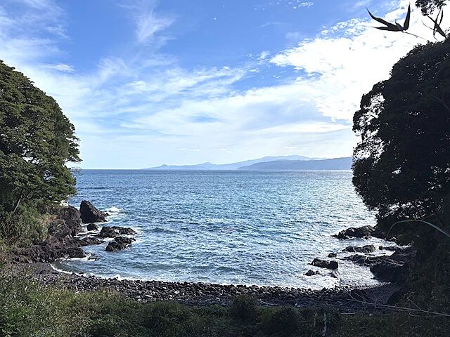 その他 パーク・セレノ真鶴アスール 6階/-