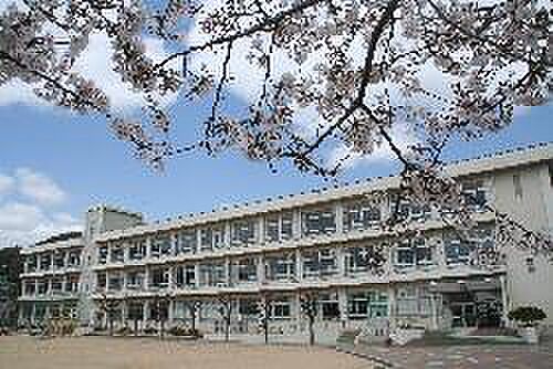 画像19:姫路市立八幡小学校まで854ｍ