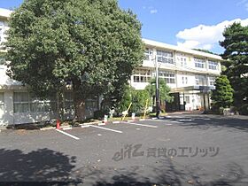 ルピナスウエスト 201 ｜ 滋賀県甲賀市水口町本町1丁目（賃貸アパート1K・1階・27.02㎡） その15