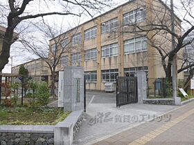 京都府京都市南区西九条藤ノ木町（賃貸アパート1LDK・1階・46.56㎡） その8