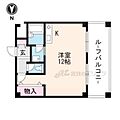 プルミエール五条桂4階5.5万円