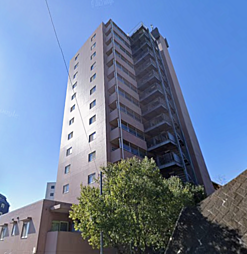 ROYAL RAISIN(ロイヤルレザン) １０１１