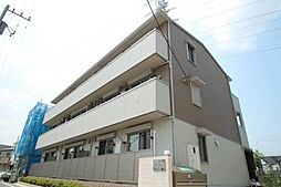 メイプルアベニュー