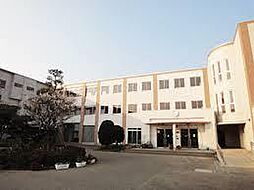 ジェノヴィア亀戸