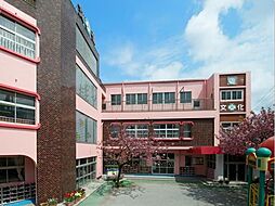 【幼稚園】向島文化幼稚園まで267ｍ