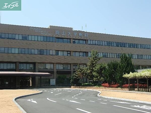 画像27:国立岡山大学医学部 982m