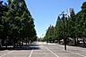 周辺：大通り公園　 170m