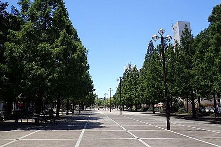 大通り公園 170m