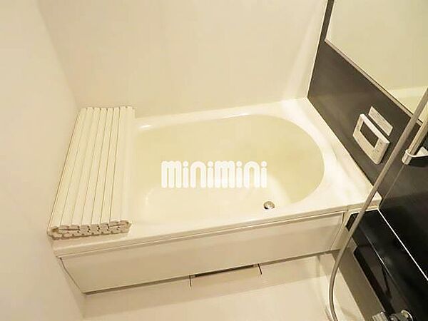 シュロスカエデ