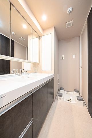 洗面 アトレ浮間舟渡ローレルコート 3階/-