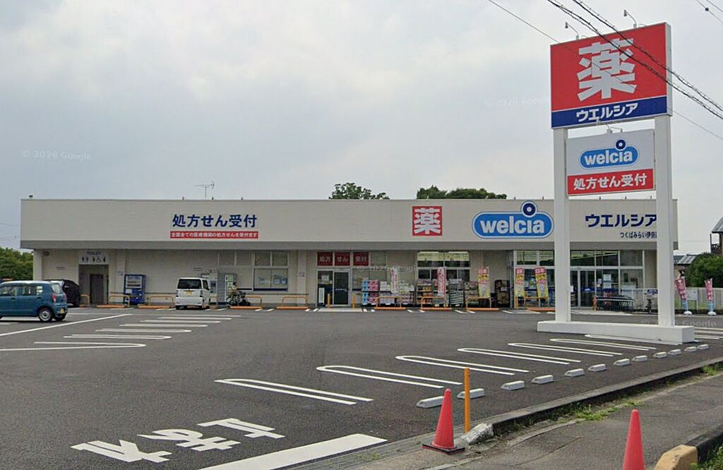 Image 8