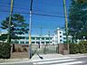 周辺：小岩第三中学校小岩第三中学校 1590m