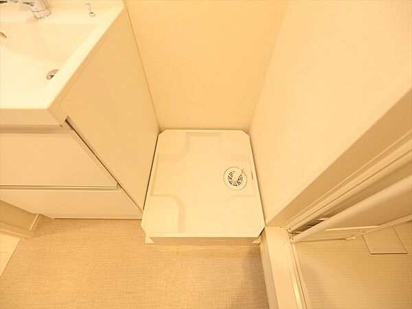 画像30:脱衣所　室内洗濯機置き場