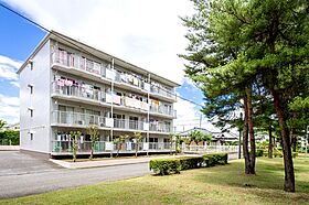 松代パークハイツ 202号室 ｜ 茨城県つくば市松代（賃貸マンション3LDK・2階・59.50㎡） その1