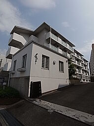 コパンジューヌIII 309