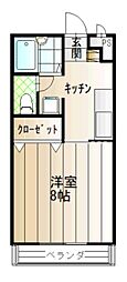 セリーン・ハイツ 1Kの間取図画像