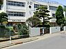 周辺：八千代市立高津小学校 590m