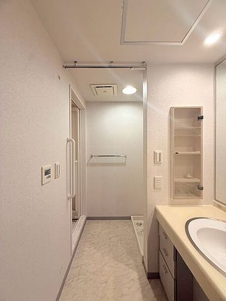 タオルや洗面用具、洗剤のストックまでスッキリ収まる収納豊富な洗面所。散らかりがちな水回りを綺麗に保てるため、限られた空間でも圧迫感を与えません。
