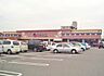 周辺：カネスエ 開明店（330m）