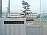 周辺：一宮市立南部中学校（800m）