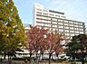周辺：一宮市立市民病院（643m）