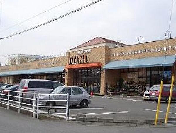画像25:フードオアシスオータニ平松店(スーパー)まで524m