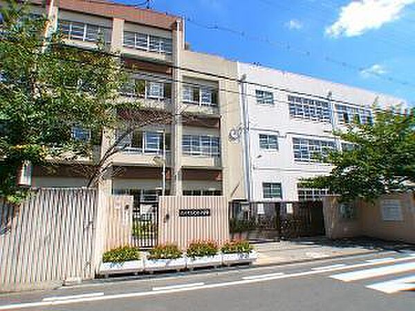 画像25:小学校「尼崎市立七松小学校まで776m」