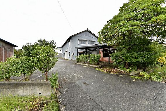 庭