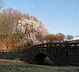 周辺：【公園】栃谷戸公園まで850ｍ