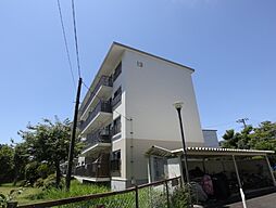 5 / 9