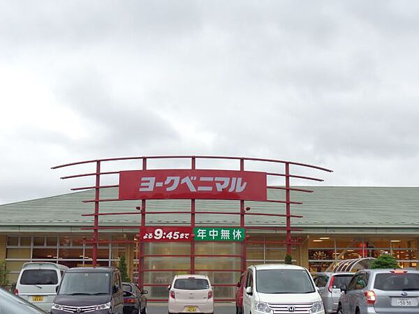 サザンマンション ｜栃木県宇都宮市上野町(賃貸マンション2LDK・2階・63.40㎡)の写真 その14