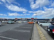 ACROSS PLAZA（アクロス プラザ） 野洲（175m）