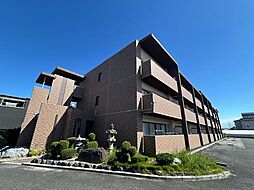 ダンデライオン