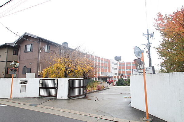 画像17:名古屋市立牧の池中学校