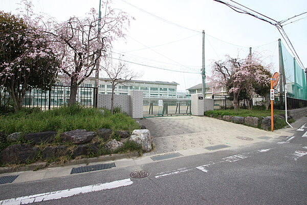画像16:名古屋市立守山中学校