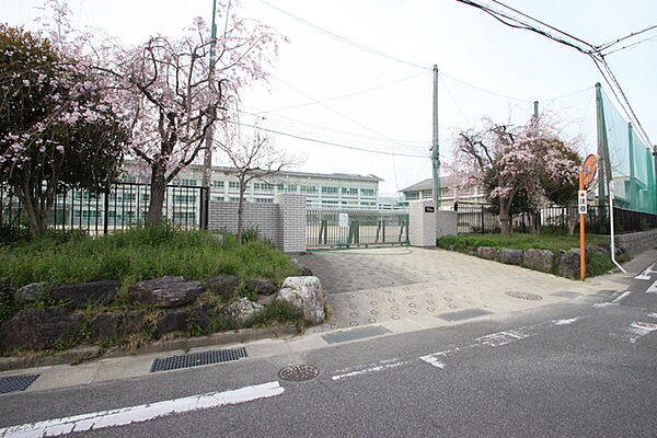 NK守山 210｜愛知県名古屋市守山区新城(賃貸マンション1K・2階・19.56㎡)の写真 その15