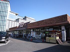 テリオス  ｜ 愛知県名古屋市千種区南明町２丁目（賃貸アパート1K・1階・21.60㎡） その24