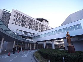 コーポラスマウンテン  ｜ 愛知県名古屋市西区香呑町５丁目（賃貸マンション1R・3階・24.48㎡） その19