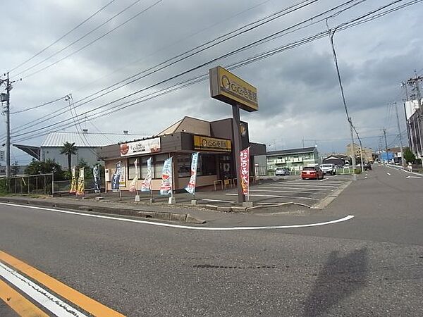 画像13:飲食店「COCO壱番屋まで290m」