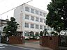 周辺：小学校「名古屋市立大野木小学校まで817m」