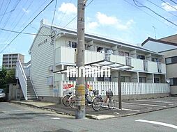 タウニー大秋