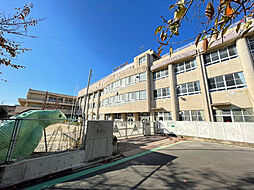小学校「名古屋市立柳小学校まで487m」