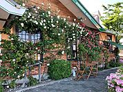 その他「コメダ珈琲店まで660m」