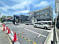 ロビニア若草