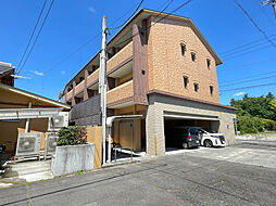 ルミナスサンノバク